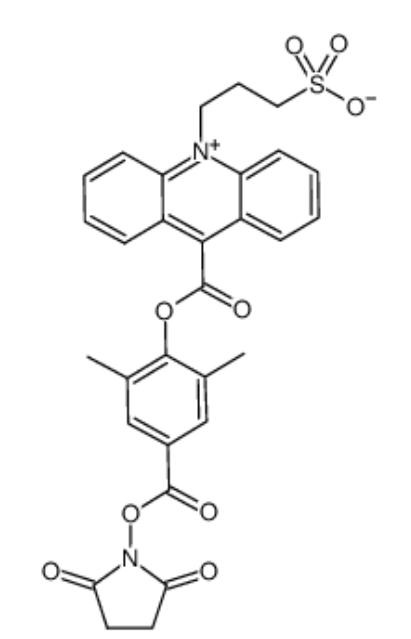 ߹NSP-DMAE-NHS	 
