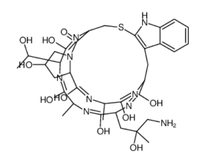 ((R)-4-Hydroxy-4-methyl-Orn?)-Phalloidin 