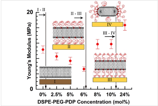 DSPE-PEG-PDP