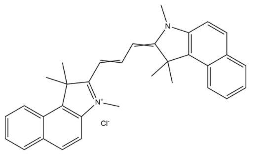 Cyanine3.5׻ 