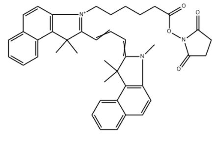 Cyanine3.5 NHS 