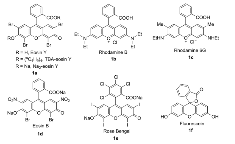 pgӹٷṩNҊ(jin)s(li)ЙC(j)ȾRose BengalRhodamine 6GEosin BRose BengalFluorescein