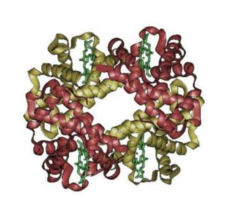 CY3(bio)ӛD(zhun)F Transferrin-Cy3 Conjugate Cy3(bio)ӛD(zhun)F׵đ(yng)ԼP(gun)a(chn)Ʒ