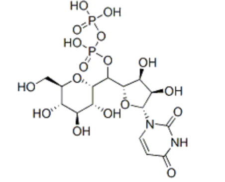 UDP-cas:133-89-1, UDP glucuronic acid, UDP-glucose, һN