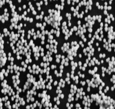 Ȼ{ 50nm COOH-Gold Nanoparticle/Au nanoparticles ߴɶ