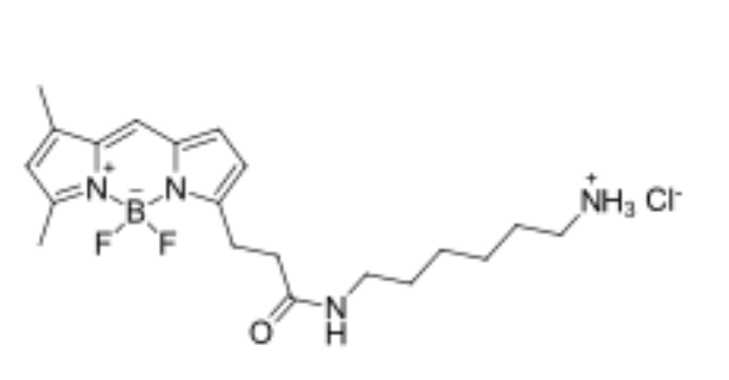 BDP FL amine,cas2183473-03-0,BODIPY(li)(li)ɹȾϵļl(f)L(zhng)