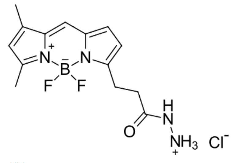 BDP R6G hydrazide|һN׻Ⱦ|bodipyɹȾϼl(f)L(zhng)