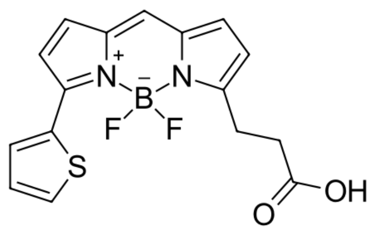 BDP 558/568 carboxylic acid|cas150173-72-1|-COOHȻܻbodipyɹȾ