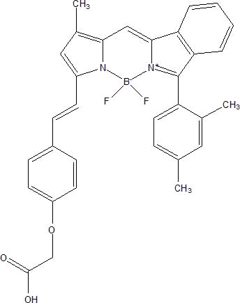 Ʈa(chn)Ʒ-L(zhng)500-800nmBodipyϵȾϽBtȾϣ