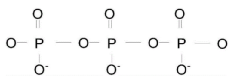 TPE-NCSϩɹ(TPE)(bio)ӛȻ(NCS)
