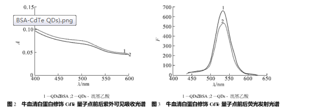 ţѪ׵ˮڻkc(BSA-CdTe QDs)ɹ̽ӵęzy|pgӹٷ﹩(yng)