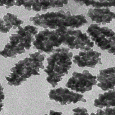 Gold nano biconical  {pF-y{׏ͺϲ{pFwsҺ