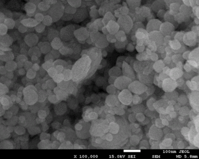 ϩFԼ{w(PEI@Fe3O4) | PEI coating Fe3O4 nanoparticles10nm/150nm