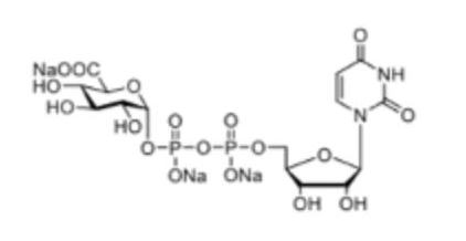 UDP-GlcA CAS:63700-19-65'-ȩcUridine 5'-diphosphoglucuronic Acid Trisodium