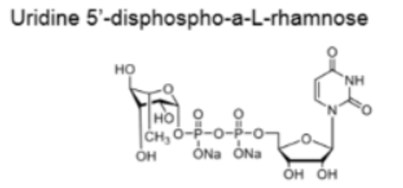 UDP| CAS:1526988-33-9;UDP-L-Rha;5--a-L-Ƕc}UDP-