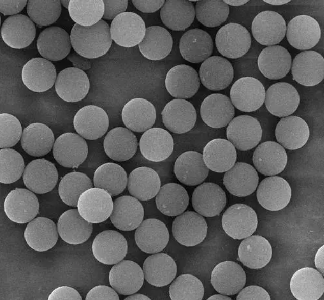 ùHؘ(bio)ӛF  SA-Biotin Modified Fe3O4 Microspheres