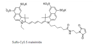 Sulfo-cyanine5.5 maleimideǻCy5.5-RˮCy5.5 maleimideMAL