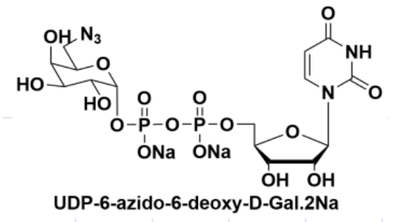 UDP| UDP-6-N3-Galactose, cas: 868141-12-2, UDP-6-B-6-Ó-D-Ƕc}