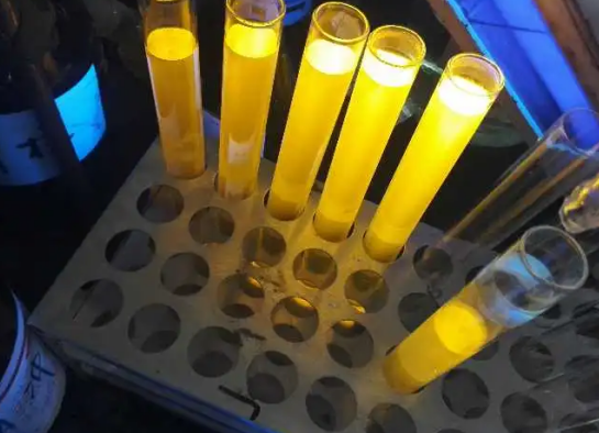 FITC-ĸ Gɫɹ(bio)ӛĸ FITC-Zymosan