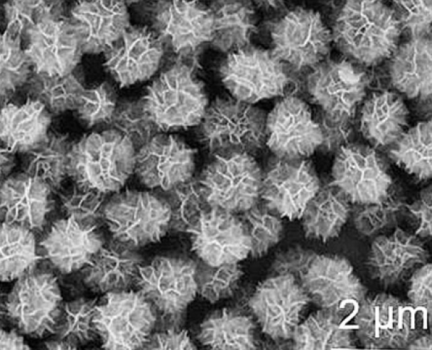 DNA nanoflower , {׻DNAfˎYϹԵDNA