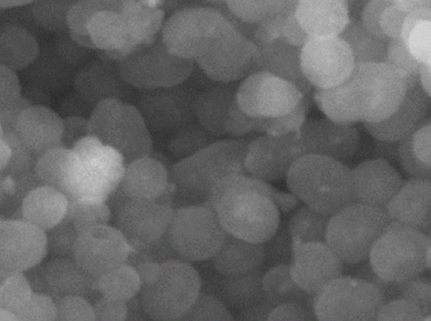 USPIO 혴F{w Fe3O4 Magnetic nanoparticles ƺϳ
