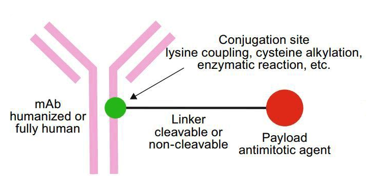 ^ø(HRP)߻ADCwż(lin)-pgӹٷ