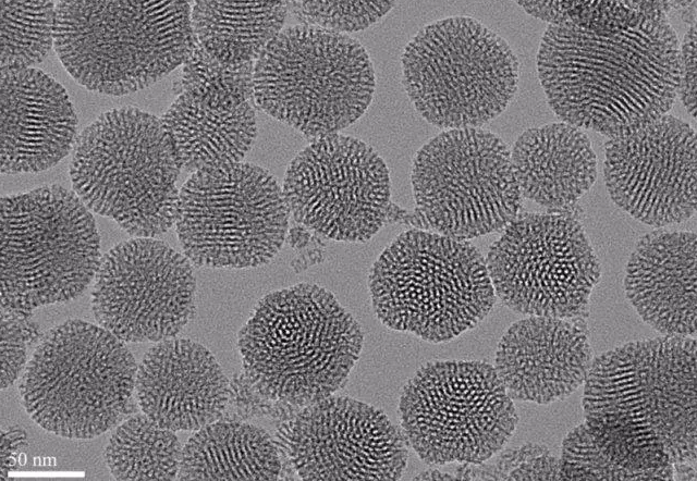 {׽Ĺ܈F(tun)  Gold Nanoparticles-NH2/Azide/Alkyne/Hydroxyl Functional