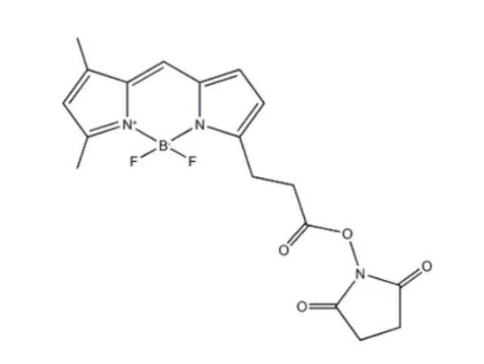 BODIPY 581/591 C11(֬|(zh)^(gu)) BDP FL NHS ester CAS:146616-66-2
