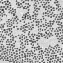 PEG-MAL coating Fe3O4 nanoparticles50nm/PEG-MALFe3O4{ӣ50nm