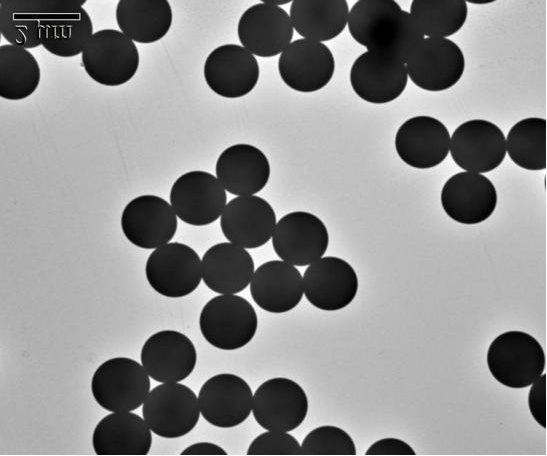 FITC-׶90-100nm(5mg/ml) ׶dɹ⣨FITC