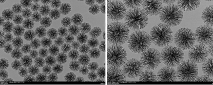 ֦׶  Dendritic Mesoporous Silica Microspheres