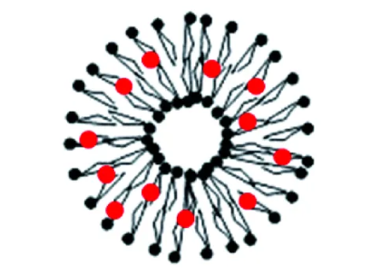 FITC(bio)ӛ֬|(zh)wdù/(li)ùص|(zh)Լ(yng)