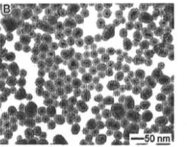 CS@Fe3O4 nanoparticles150nm  F{w1500nm