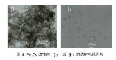 Dextran modified Fe3O4 nanoparticles(100nm)     ϾF{w100nm