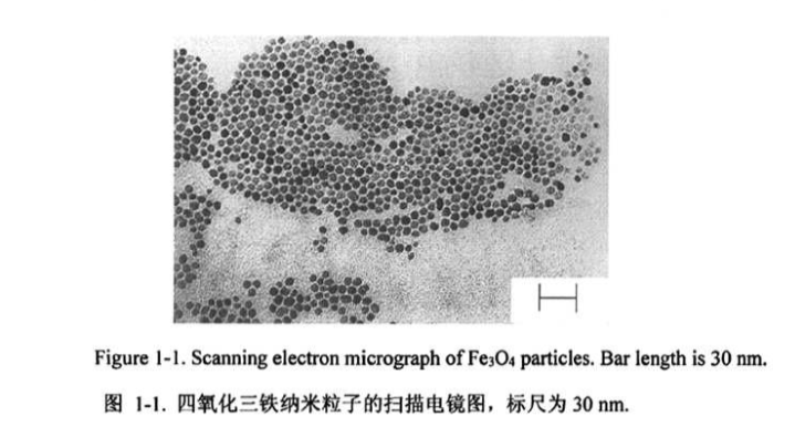 CS@Fe3O4 nanoparticles50nm   F{w50nm