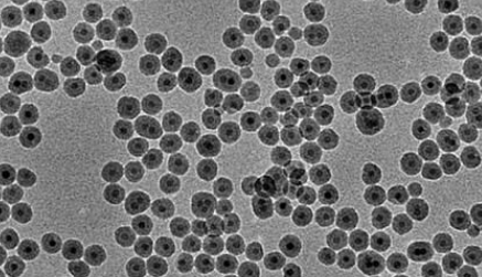 PAA @Fe3O4 nanoparticles(50nm  ۱ϩF{w50nm