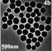 Dextran modified Fe3O4 nanoparticles(200nm)     ϾF{w200nm