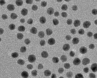 PVP@Fe3O4 nanoparticles(50nm)