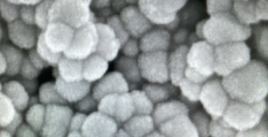 PAA @Fe3O4 nanoparticles(10nm ۱ϩF