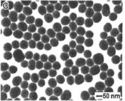 CS@Fe3O4 nanoparticles200nm   F{w200nm