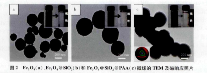 PVP@Fe3O4 nanoparticles(30nm)ɶ