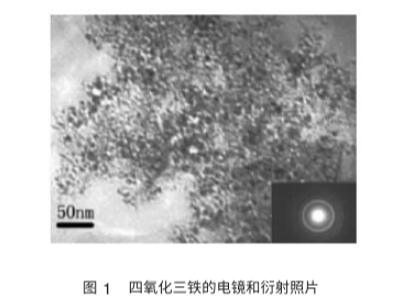 Dextran modified Fe3O4 nanoparticles(30nm)    ϾF{w30nm