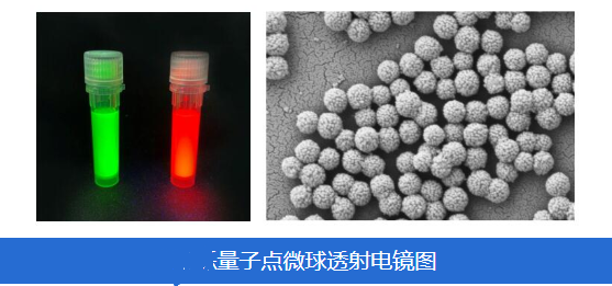 c(din)΢Quantum dot microsphere QDC-1CdSe/CdSc(din)@PSɹ΢