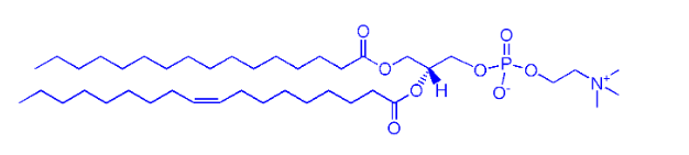 POPC֬  POPC/ CAS:26853-31-6/1-ؙ-2-֬ ĽYʽ